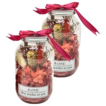 A-ONE 匯旺 永生花許願花瓶 AE-FB6  紅兔尾草