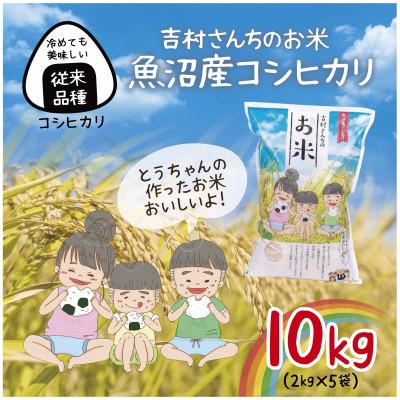 ふるさと納税 十日町市 |従来品種| 魚沼産 コシヒカリ 精米 2kg×5袋 計10kg 新潟 十日町市 吉村さんちのお米