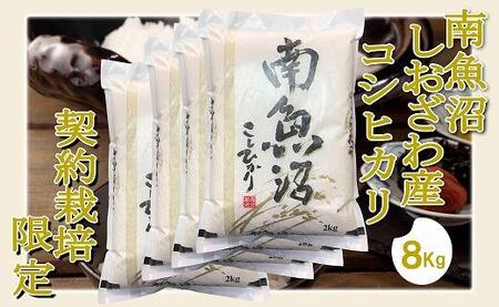 契約栽培限定 南魚沼しおざわ産コシヒカリ