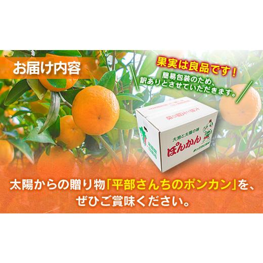 ふるさと納税 宮崎県 日南市 訳あり≪数量限定≫平部さんちのポンカン(計7kg以上) フルーツ 果物 柑橘 みかん 国産_BA60-23