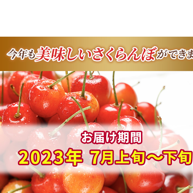 先行予約 北海道 仁木町産 さくらんぼ 約2kg 2Lサイズ 仁木ファーム 果実