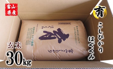 富山県産こしひかり　育（はぐくみ）玄米30kg《南砺の逸品》