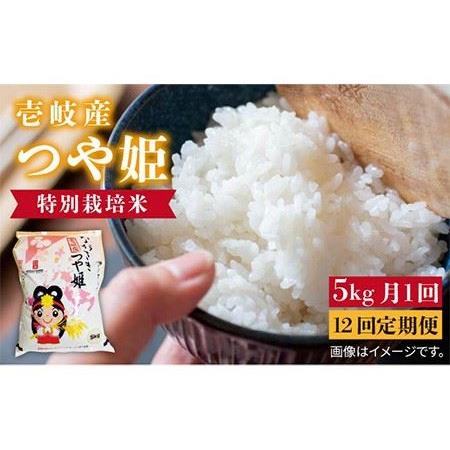 ふるさと納税 お米 壱岐産 つや姫  5kg 《 壱岐市 》 [JBO058] 米 お米 新米  84000 84000円  長崎県壱岐市