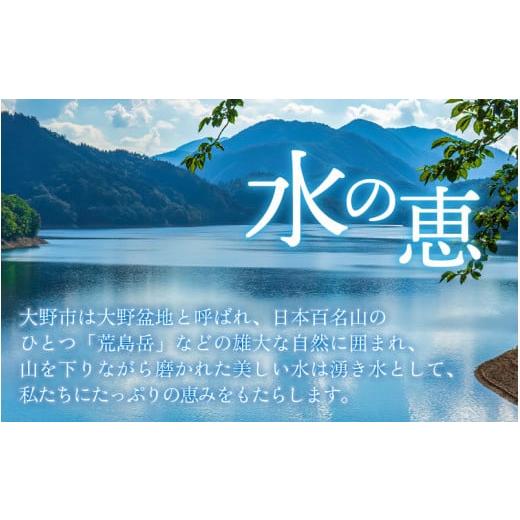 ふるさと納税 福井県 大野市 越前大野産 エコファーマー認定農家栽培こしひかり 玄米 5kg × 3回 計15kg