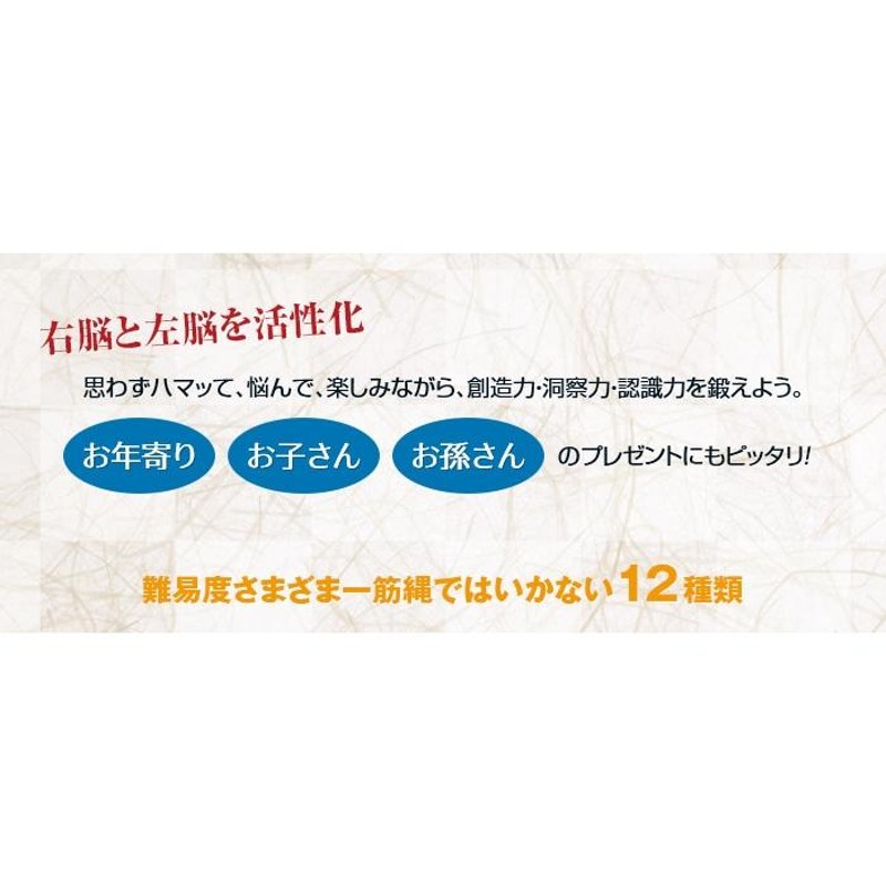 ロックスモーション ウッドパズルセット - 天然 木製 パズル 知恵の輪