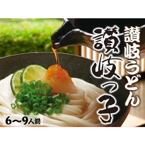 本物の味 讃岐うどん 讃岐っ子 お試しセット 乾麺2袋入り（4〜6人前）