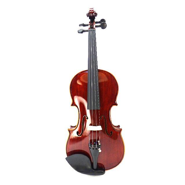 Drexcell Violin No.100 -All Ebony #2