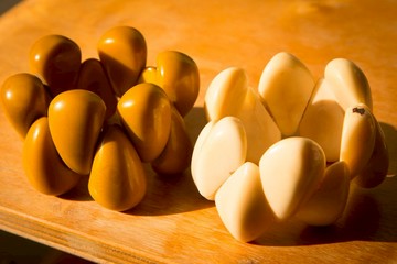 Vista[見聞]，南美洲，Tagua象牙果手環 - 水滴型，土黃色款