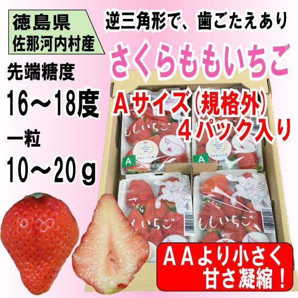 いちご さくらももいちご イチゴ 苺 Aサイズ 4パック入り 送料無料 12〜4月にお届け