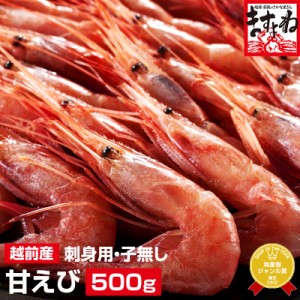 無添加 お刺身 国産 越前子なし甘えび500g(40尾-50尾) 送料無料 えび エビ 海老 甘エビ あまえび お刺身 海鮮丼 寿司ネタ