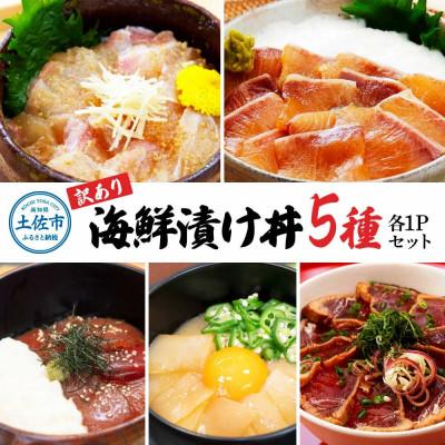 ふるさと納税 土佐市 土佐の海鮮漬け丼5種各1袋セット