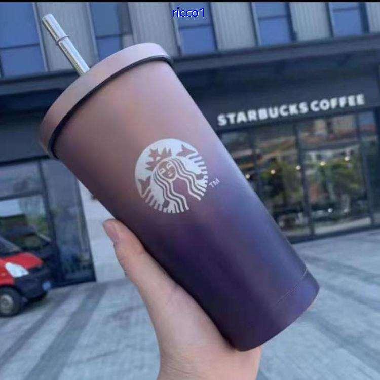 スターバックス STARBUCKS タンブラー ステンレスカップ コップ ストロー スタバ 保温 保冷 海外