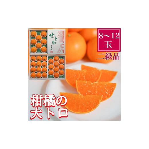 ふるさと納税 和歌山県 有田川町 ちょっと 傷あり 柑橘の大トロ ハウス せとか 〜 12玉入 化粧箱 南泰園
