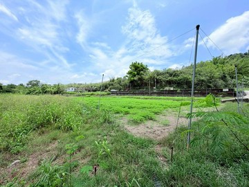 台20線旁甲仙山景珍稀超美大地坪農地｜高雄市甲仙區大田段