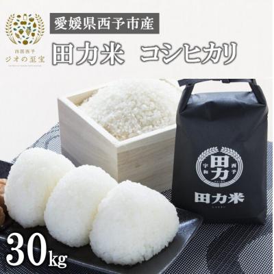 ふるさと納税 西予市 令和5年産:田力米(コシヒカリ)30kg