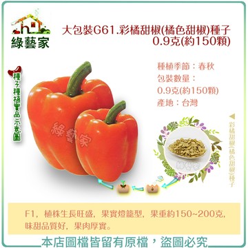 【綠藝家】大包裝G61.彩橘甜椒(橘色甜椒)種子0.9克(約150顆)