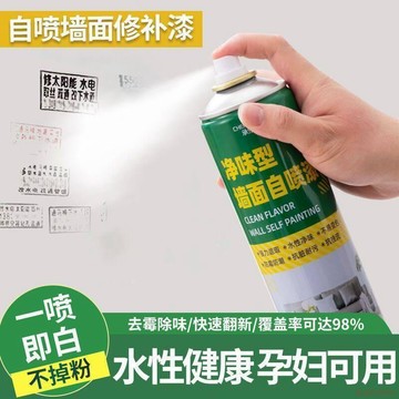 桃園出貨✨【工廠清倉】牆面自噴漆白色牆面翻新漆白牆修復快乾無味家用塗鴉