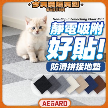 【限時優惠速速搶購】防滑拼接地墊 寵物地墊 可裁剪自黏地墊 地毯 巧拼 現貨 巧拼地墊 拼接地墊 房間地墊 止滑墊 墊子