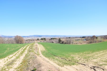 北海道産「夏採れ！北海道アスパラガス」700g