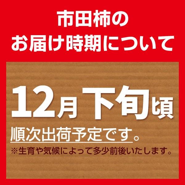 2023年度予約 市田柿 化粧箱20個入 秀ランク使用 ブランド干し柿 ギフト