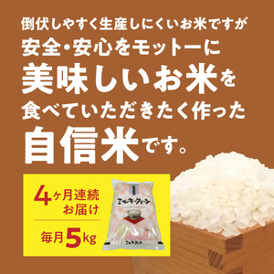 生駒産ミルキークイーン 精米済み 5㎏ 　令和５年産新米