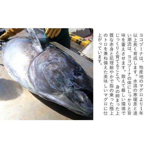 ふるさと納税 大分県 津久見市 豊後まぐろ ヨコヅーナ 贅沢セット 赤身250g 中トロ500g 大トロ250g入りの豪華セット 大分県産 九州産 津久見市