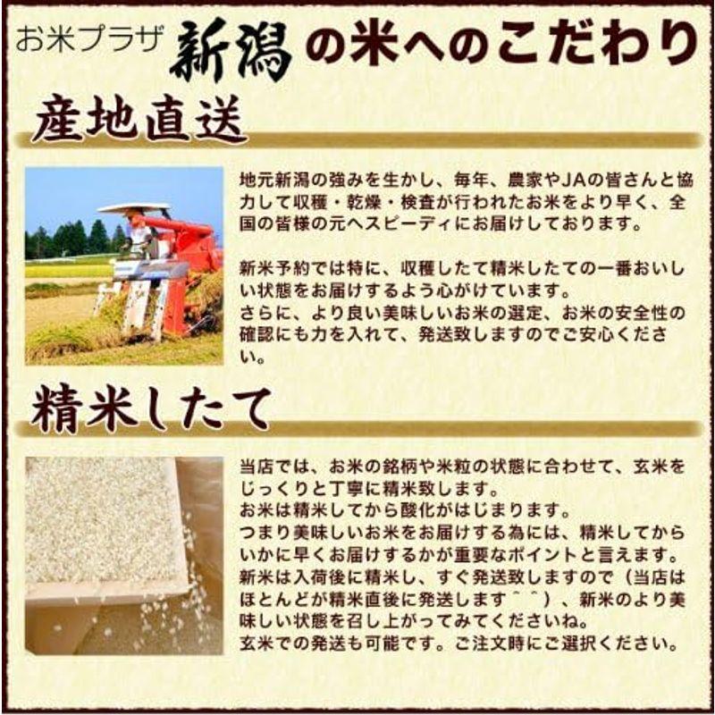 新米 新潟県産 岩船産コシヒカリ 白米 10kg (5kg×2 袋) 令和5年産