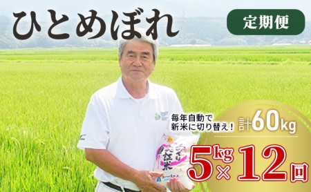 米 定期便 5kg 12ヶ月 令和5年 ひとめぼれ 5kg×12回 計60kg 精米 白米 ※毎年11月より新米