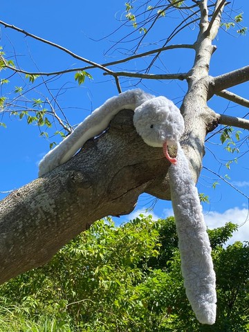 2025新年蛇蛇圍巾