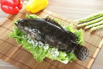 龍虎石斑600g