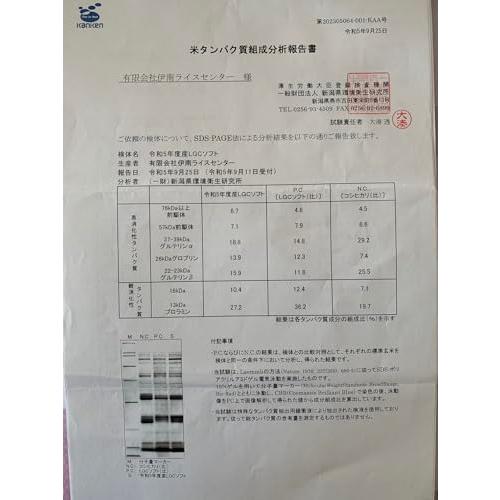 新米 令和5年産 低グルテリン米 岐阜県産 お米 ＬＧＣソフト 5kg タンパク質制限
