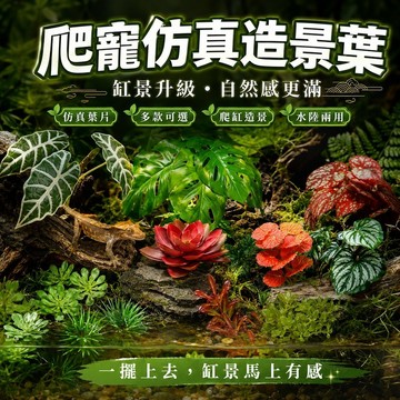 【現貨】仿真多肉爬寵 飼養箱造景 仿真植物 生態雨林裝飾 魚缸造景植物 爬蟲造景 爬箱布置 水族造景 樹棲造景 青蛙