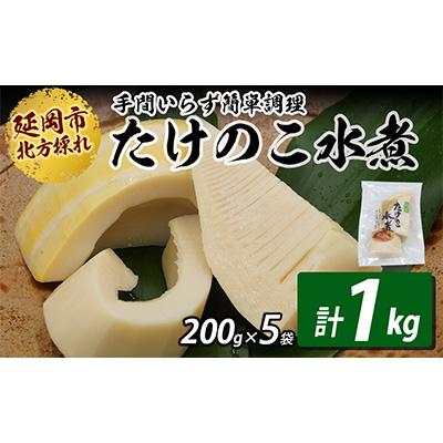 ふるさと納税 延岡市 国産たけのこ水煮　200g×5袋　 計1kg