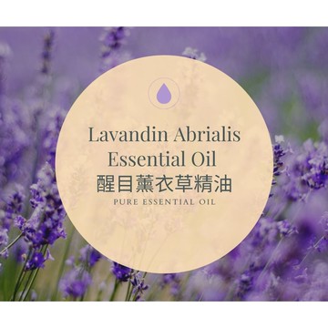 【MW精油工坊】醒目薰衣草精油 Lavandin 100%單方純精油 擴香按摩芳療用 10ml 30ml
