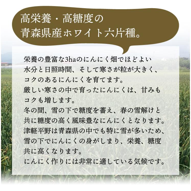 にんにく　津軽じょっぱり親父のにんにくスライス　20g　送料無料