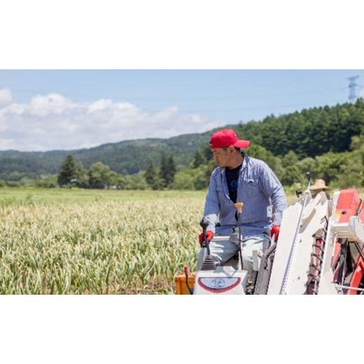 ふるさと納税 青森県 田子町 丸美農園 田子産贈答用にんにく（M）20個