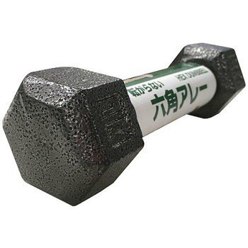 ダンベル 鉄アレイ 六角アレー 1kg 20本セット 筋トレ トレーニング