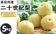 JA07-24A 梨 二十世紀 贈答 約5kg／2024年9月上旬～9月下旬ごろ配送 贈答 糖度センサー選別