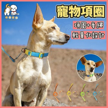 【好命寵物】寵物項圈 寵物牽繩 項圈套組 狗狗項圈 狗狗牽繩 牽引繩 皮革項圈 牽繩 項圈 狗項圈 外出用品