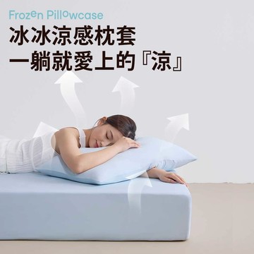 【青鳥家居】冰冰涼感枕套2入組/3色