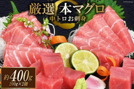 まぐろ 本マグロ背トロ 約400g(200g×2柵) 中トロ 刺身 冷凍 [豊洋海産流通 宮城県 気仙沼市 20562453]