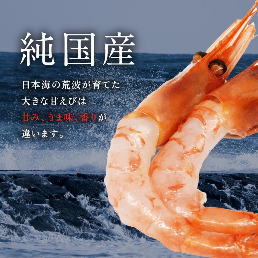 甘えび  甘海老 天然甘エビ 刺身 生食可 福井県産 純国産 無添加 冷凍甘エビ 1kg（500g×2箱） 送料無料 内祝い お歳暮 プレゼント ギフト