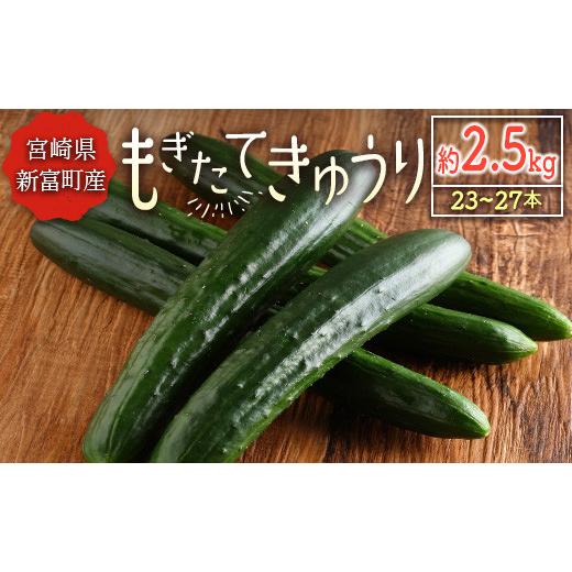 ふるさと納税 宮崎県 新富町 産地直送「もぎたて」きゅうり 約2.5kg（23〜27本）宮崎県新富町産