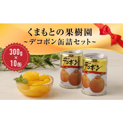 ふるさと納税 熊本県 くまもとの果樹園300g×10缶 缶詰