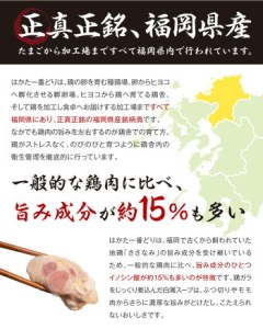 はかた一番どり 水炊きセット 彩（いろどり） 2～3人前 博多 鶏肉 ぶつ切り むね肉 水炊き 鍋セット ギフト 贈り物