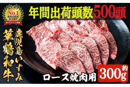 akune-4-17 商標登録のブランド黒毛和牛肉！鹿児島いずみ華鶴和牛の焼き肉用ロース(約300g) 阿久根市 国産 九州産 鹿児島県産 特産品 肉 牛肉 焼肉 希少4-17