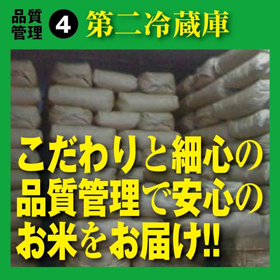 農家のお米直送 令和5年産 はえぬき（精米） 10kg