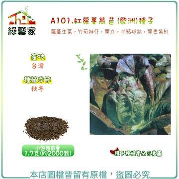 【綠藝家】A101.紅蘿蔓萵苣(台灣)種子1.7克(約2000顆)