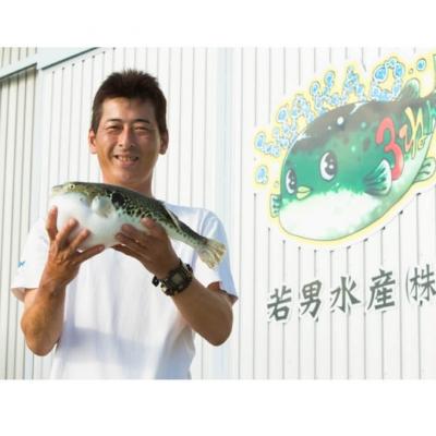 ふるさと納税 南あわじ市 鍋白子 ふぐ鍋　白子付 冷凍(2人前)