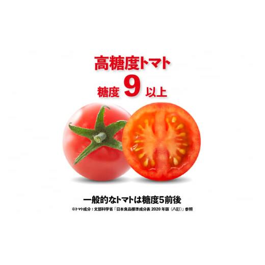 ふるさと納税 愛知県 常滑市 トマト好きが、恋をする。　1kg　金赤トマトミニ